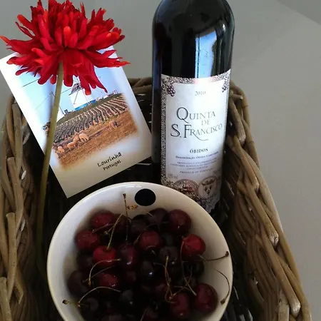 In Portugal With Sea View & Pool Вилла *